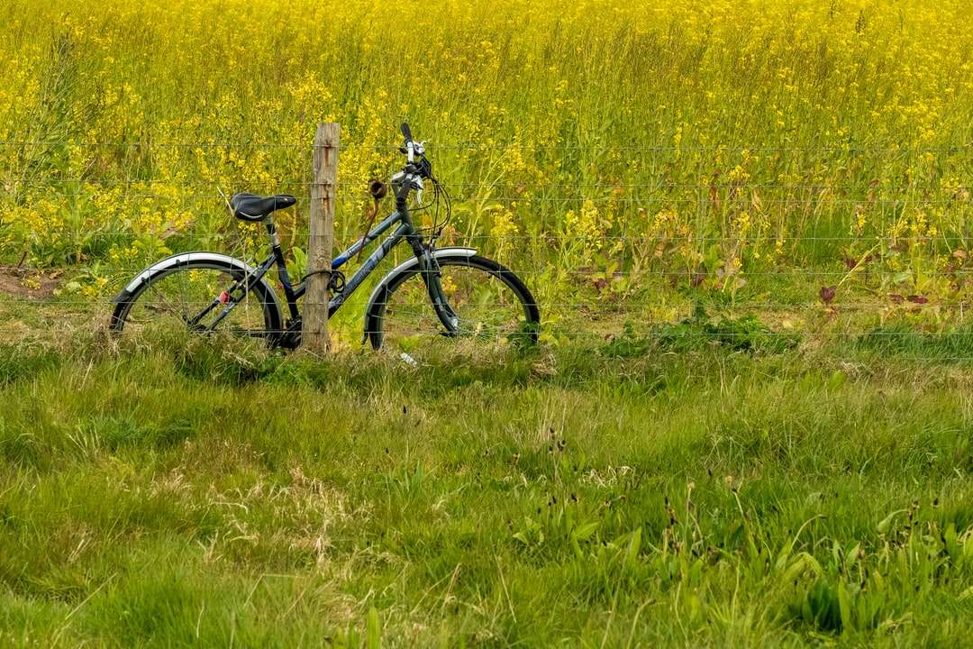 Czarny i szary rower górski na żółtym polu kwiatów puzzle online