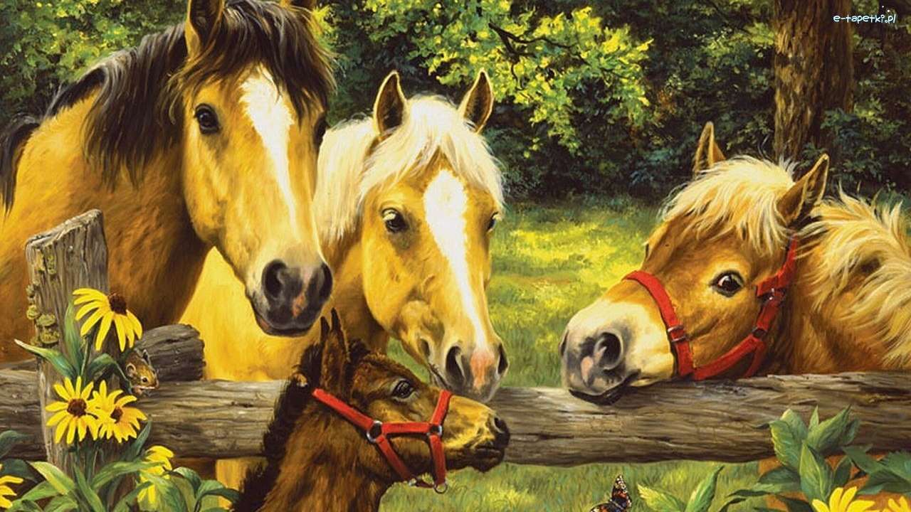 konie, kucyki puzzle online