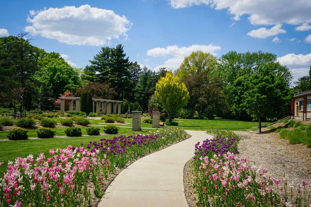 Zielona trawa pole z różowymi kwiatami i zielonymi drzewami puzzle online