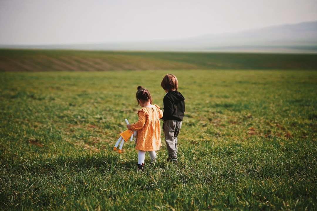 Chłopiec i dziewczyny odprowadzenie na zielonej trawy polu podczas dnia puzzle online
