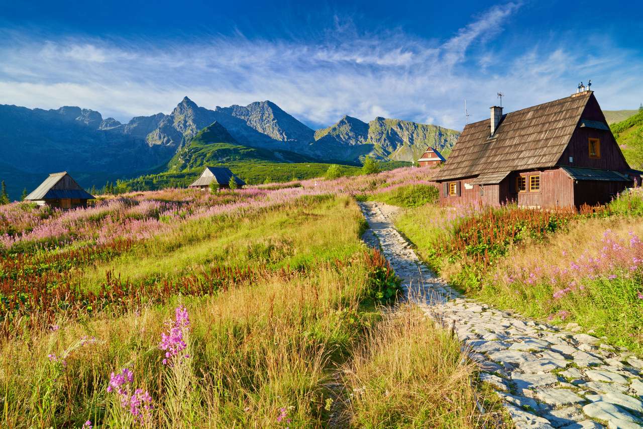 Dolina Gąsienicowa w Tatrach puzzle online