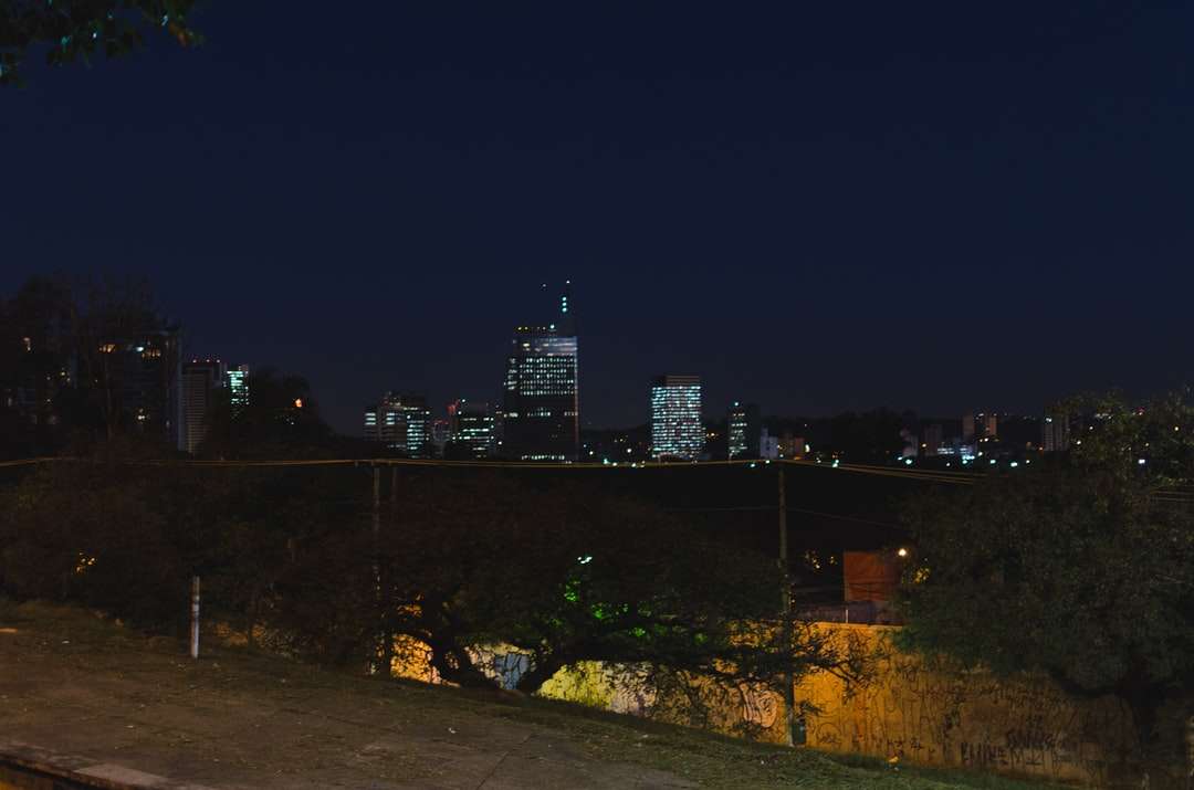 panoramę miasta w nocy puzzle online