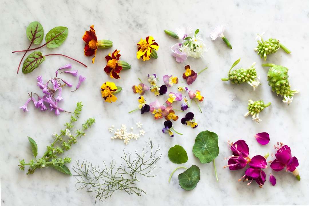 Wybrane kwiaty jadalne. puzzle online