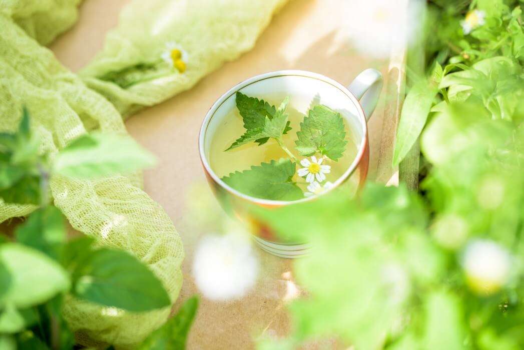 Herbata mieszana lemongrass puzzle online