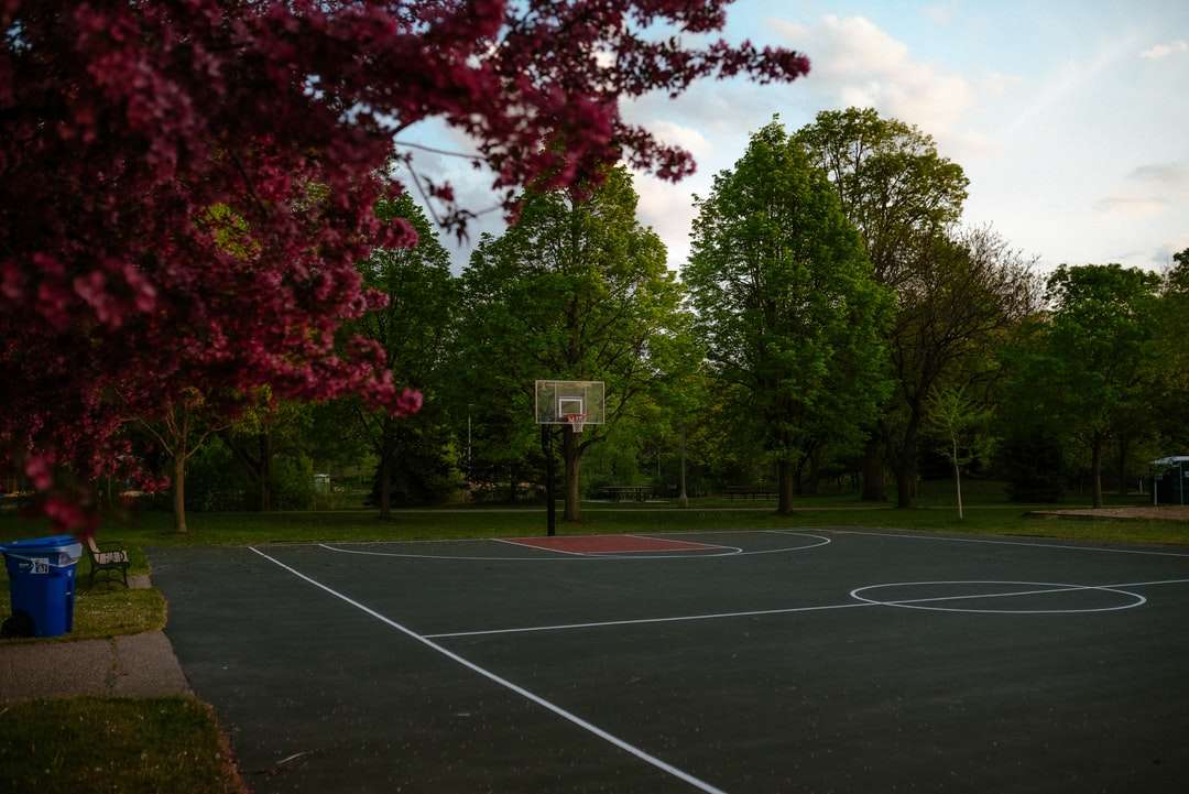 czarno-biała obręcz do koszykówki w pobliżu zielonych drzew puzzle online