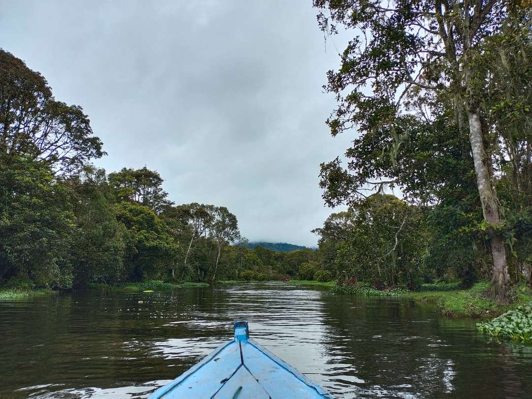 Niebieska łódź na rzece blisko zielonych drzew w ciągu dnia puzzle online