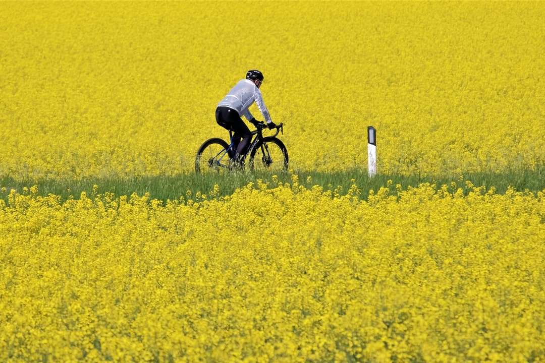 mężczyzna w białej koszuli jedzie na rowerze na żółtym polu kwiatowym puzzle online