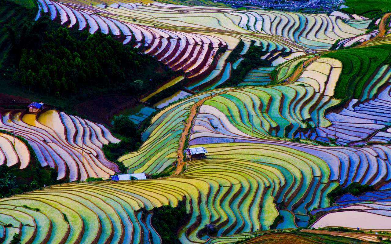 Ricefield w Mu Cang Chai puzzle online