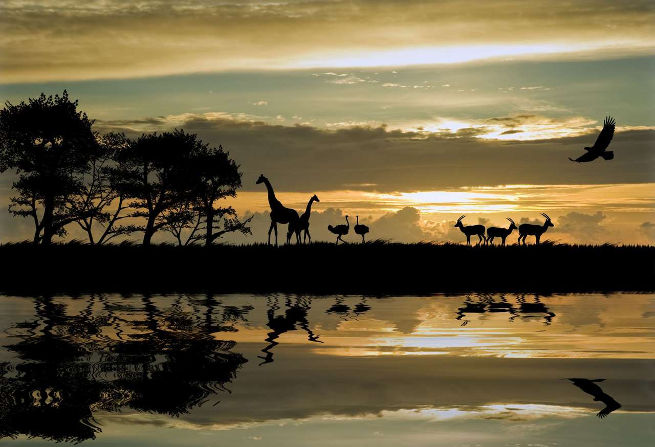 Afryka o zachodzie słońca puzzle online