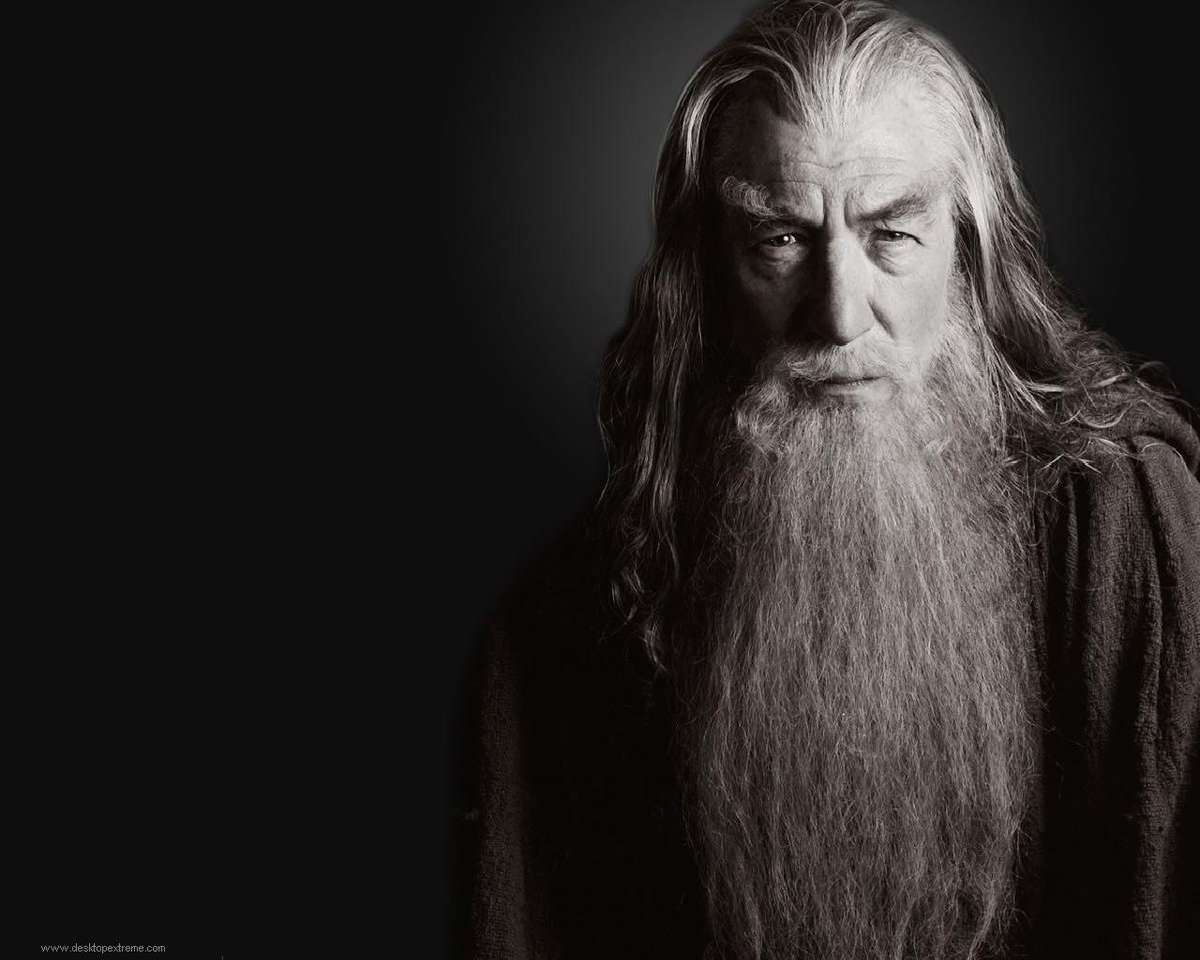 Pan pierścieni: Gandalf puzzle online