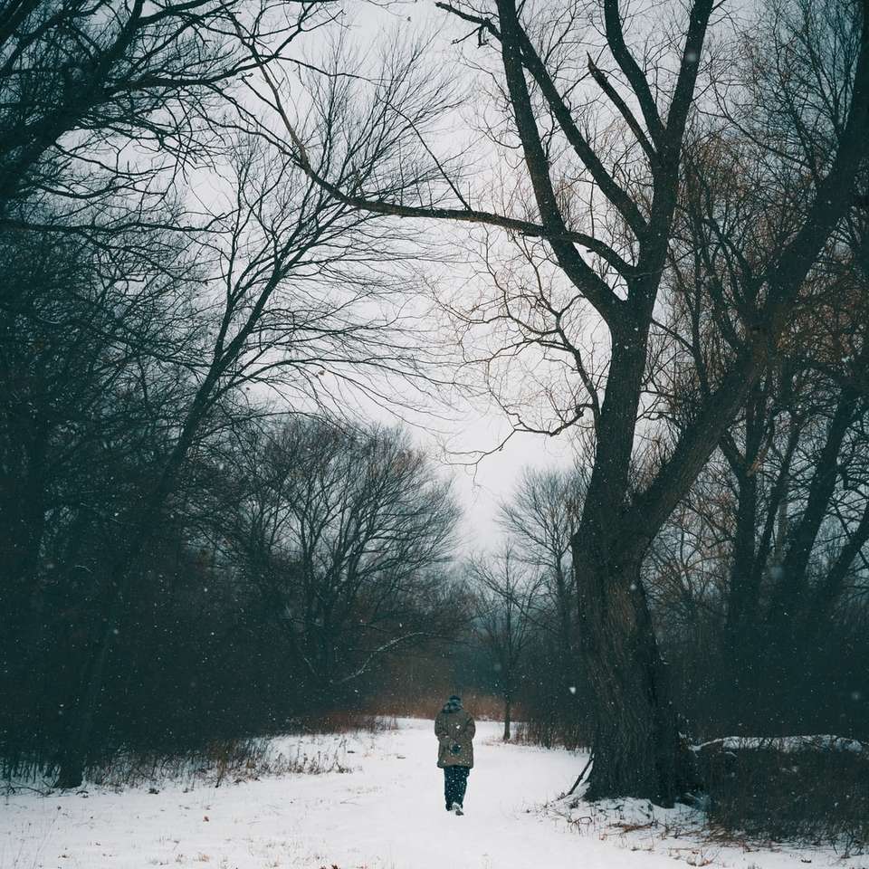 Osoba w czarnej kurtce stojącej na pokryte śniegiem ziemi puzzle online