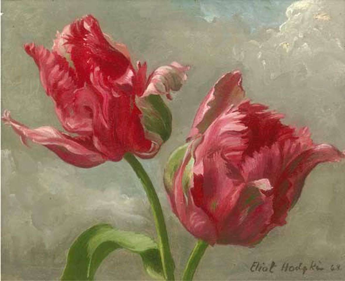Tulipany Eliott Hodgkin puzzle online
