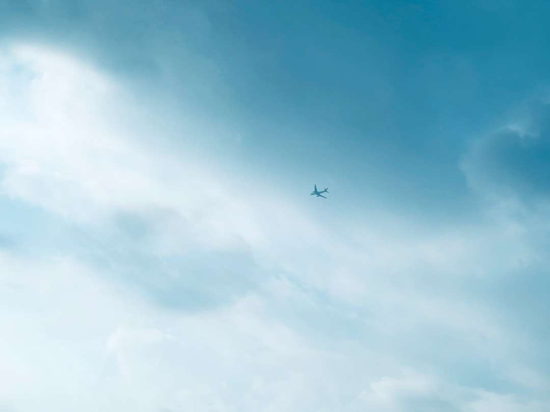 Samolot na niebie w ciągu dnia puzzle online