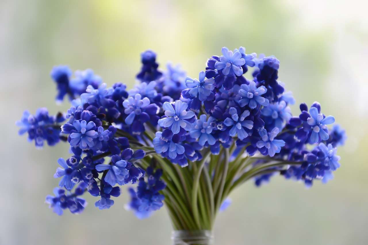Niebieskie kwiatki puzzle online