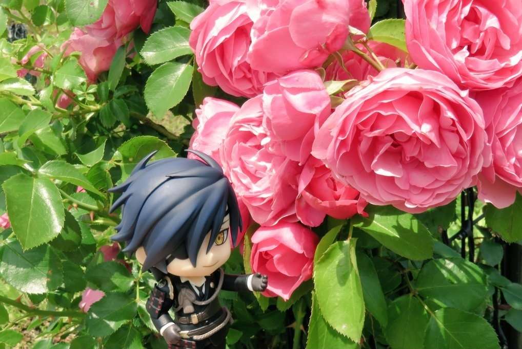 Mitsutada в средата на хубави рози пъзел