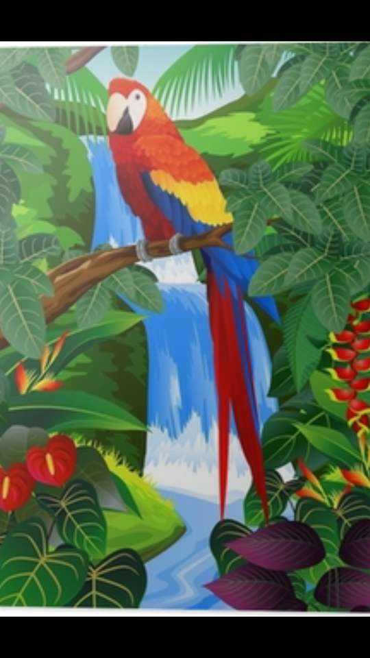 Papuga ładna puzzle online