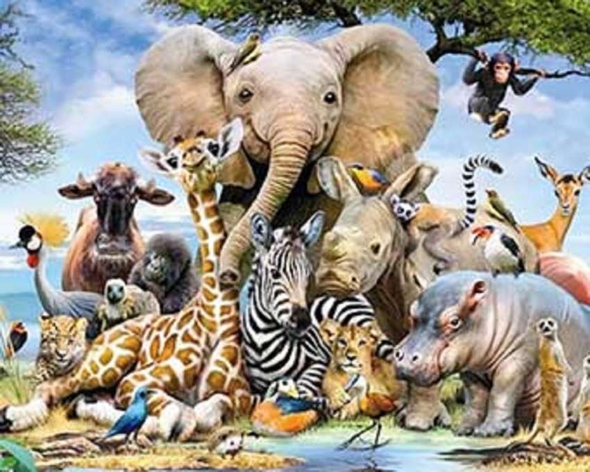 Różne gatunki zwierząt puzzle online