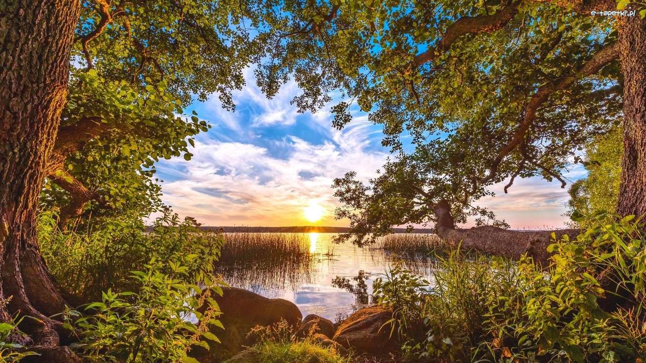 Jezioro, szuwary, zachód słońca puzzle online