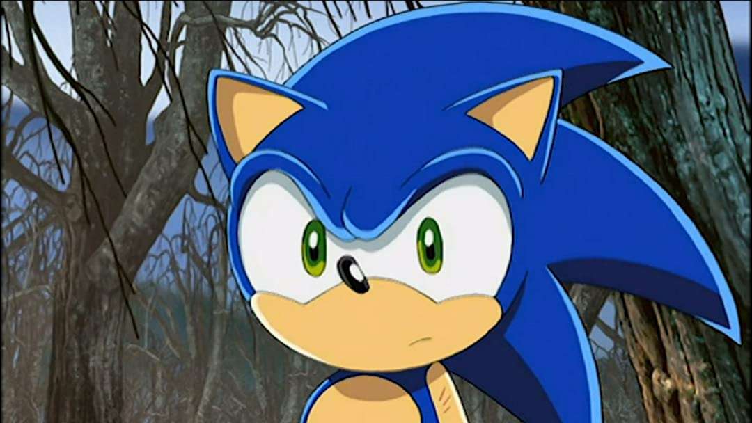 Sonic X Anime Series of the Sonic The Hideogame puzzle online