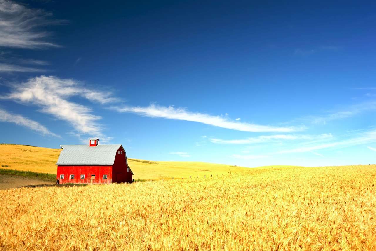 Grange rouge dans la brume d'un champ de blé puzzle