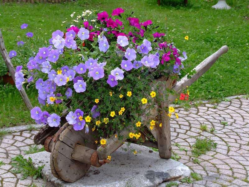 Drewniana taczka z kwiatami puzzle online