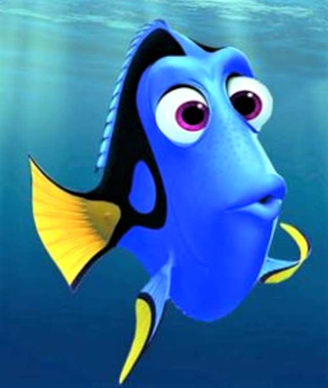 Charakter dory filmu "Szukasz Nemo" puzzle online