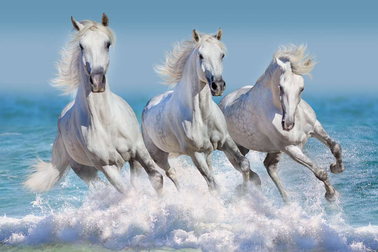 Stado konia Run galopuje w falach w oceanie puzzle online