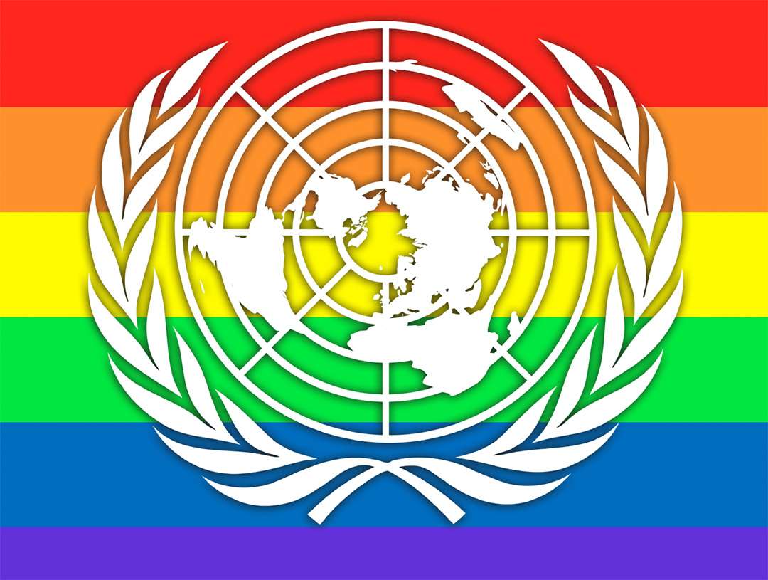 Organizacja Narodów Zjednoczonych puzzle online