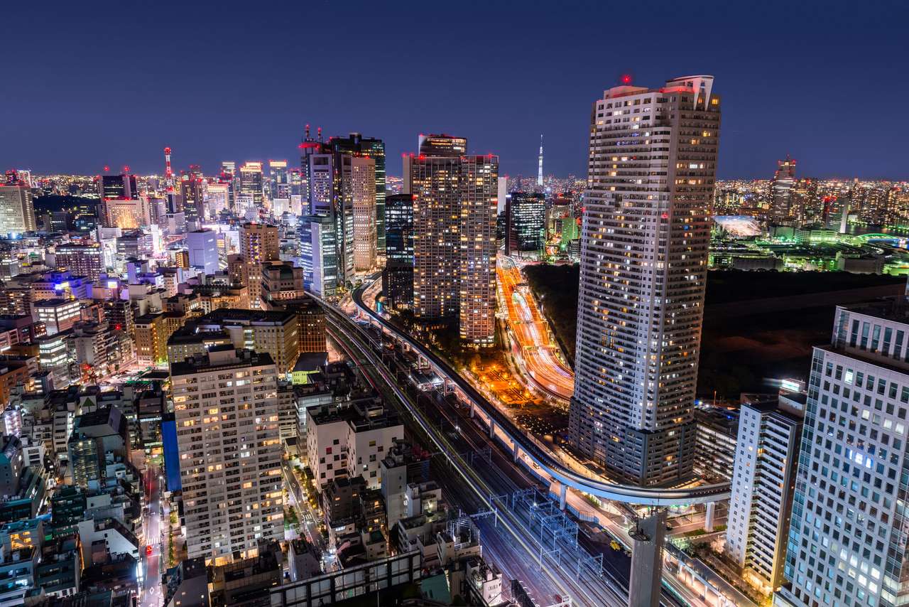 Tokio, japonia gęsty miejski pejzaż miejski puzzle online