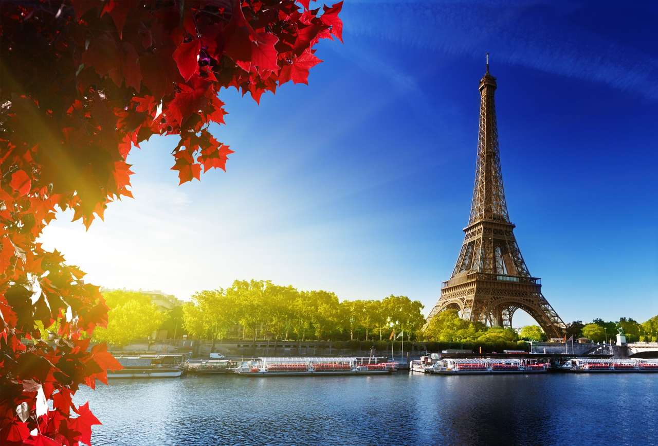 Sekwany w Paryżu z wieżą Eiffla puzzle online