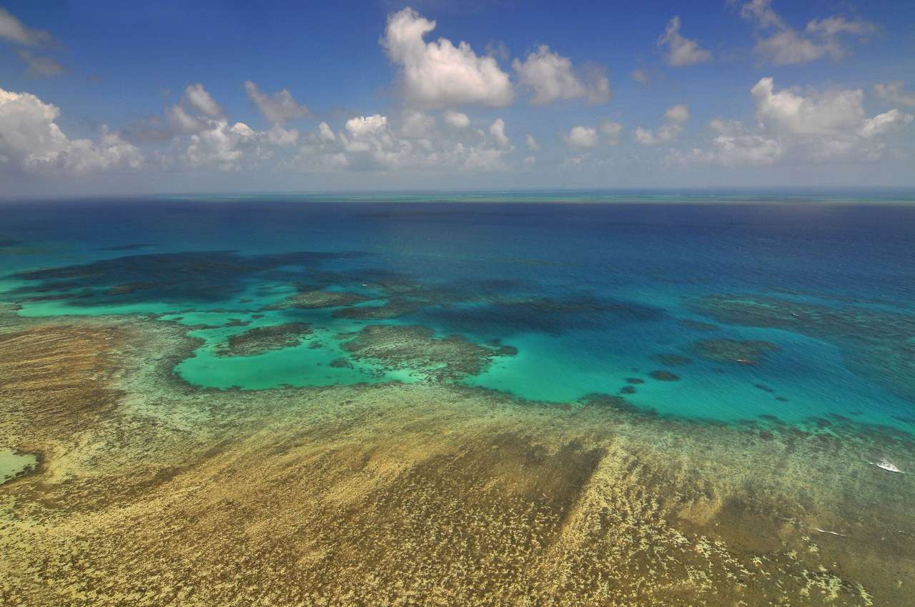 Widok z lotu ptaka Wielkiej Rafy Koralowej puzzle online