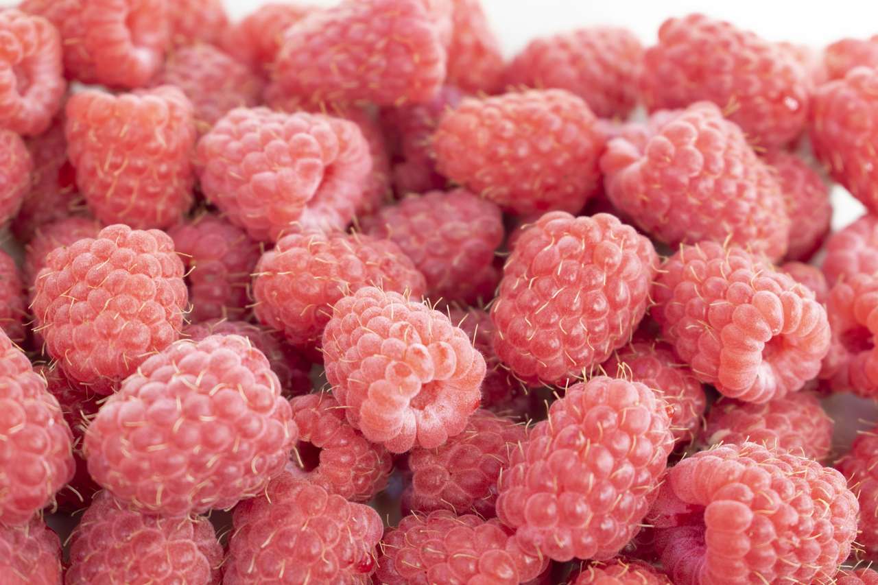 Fresh raspberries puzzle