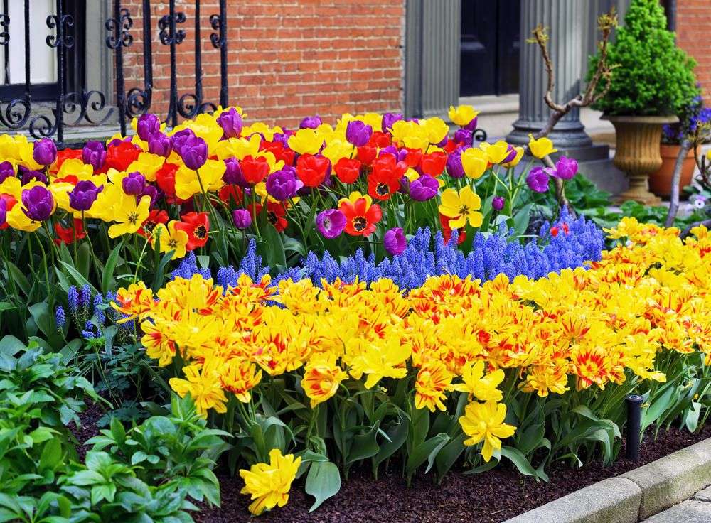Wiosenne kwiaty przed domem puzzle online
