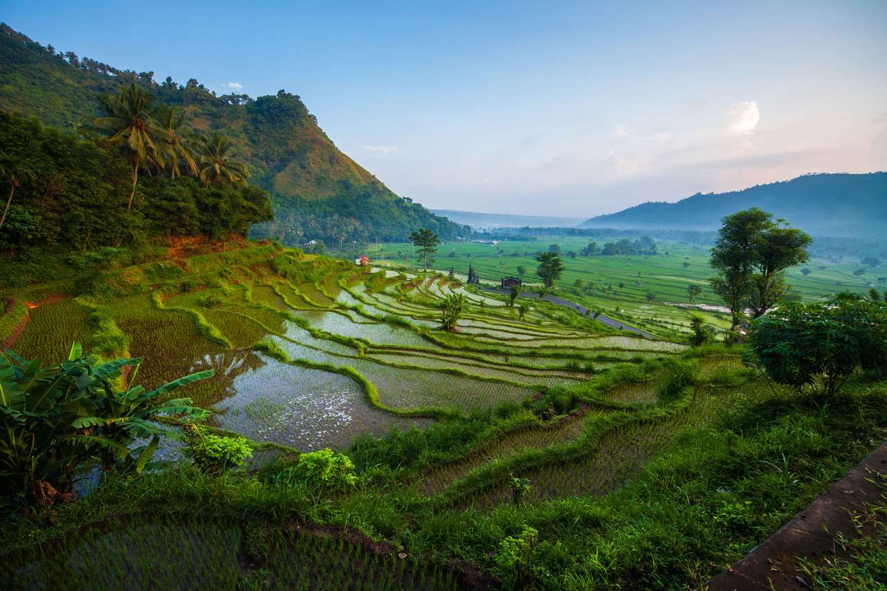 Pola ryżowe na wyspie Bali puzzle online