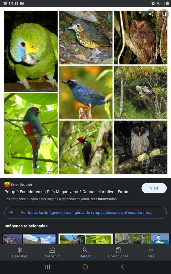Ekwador Mega Różnorodny puzzle online
