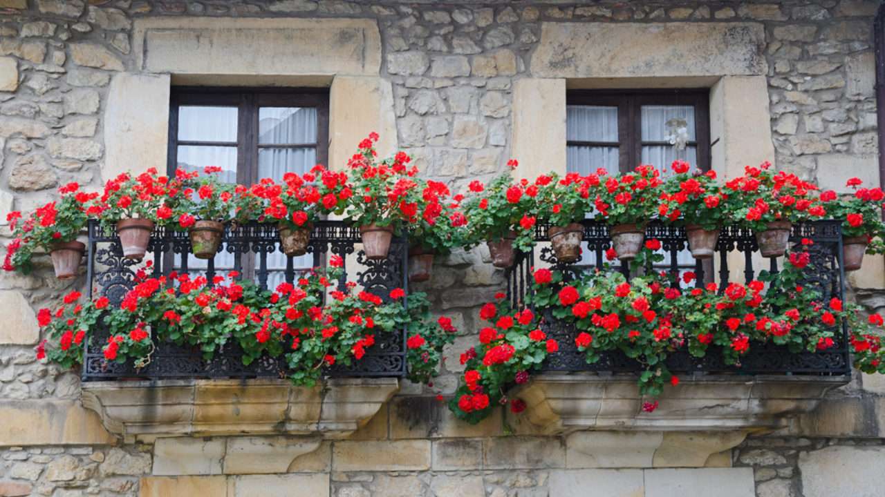 Balkony w kwiatach puzzle online