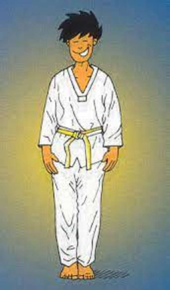 Charyot Sogui - Taekwondo puzzle online