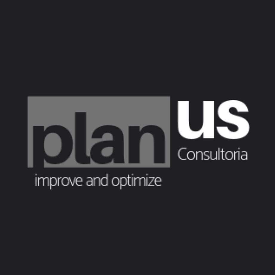 Plan-US Consulting puzzle online