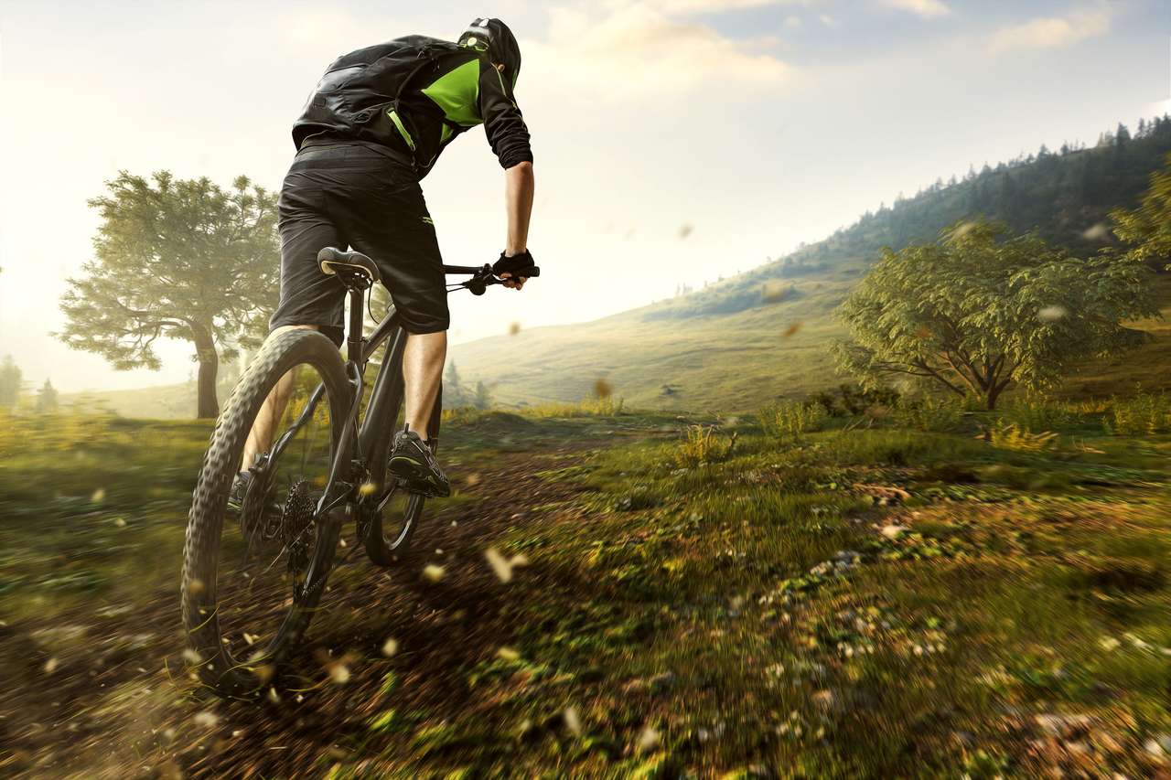 Mountainbike in the Mountains puzzle online