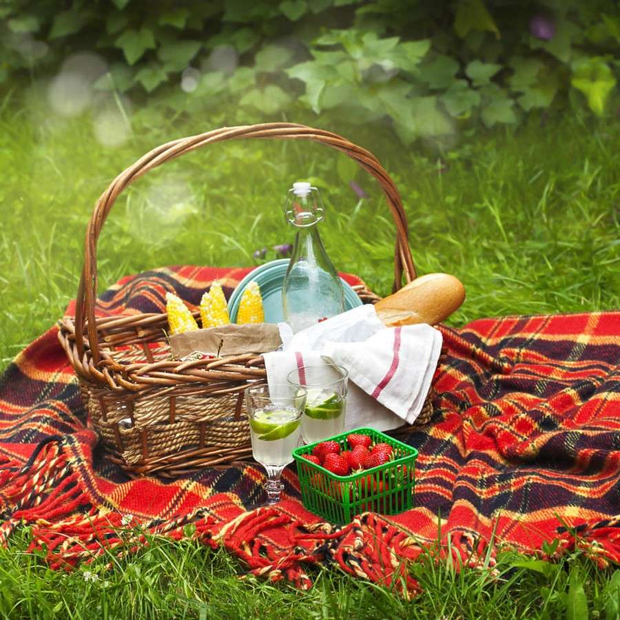 Piknik na świerzym powietrzu puzzle online