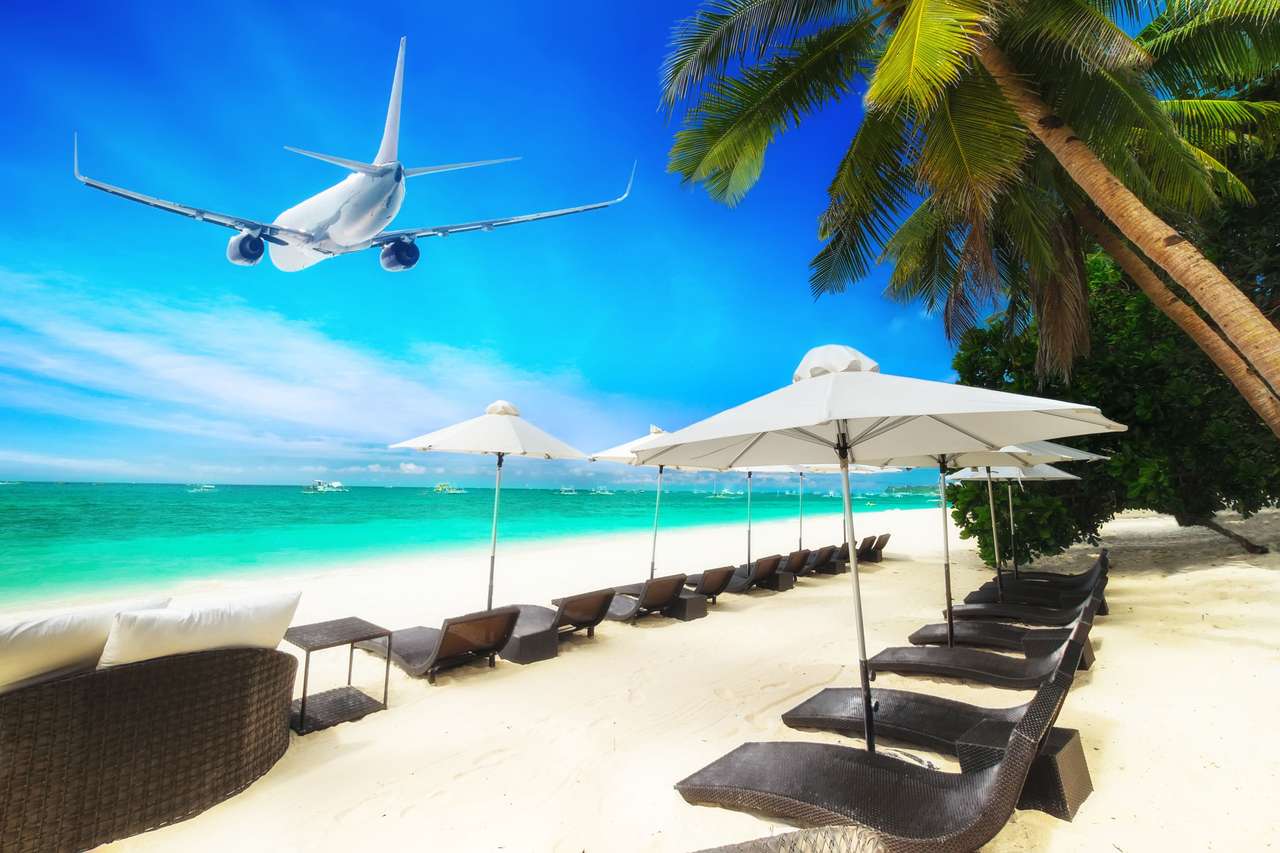 Avión sobre playa tropical rompecabezas