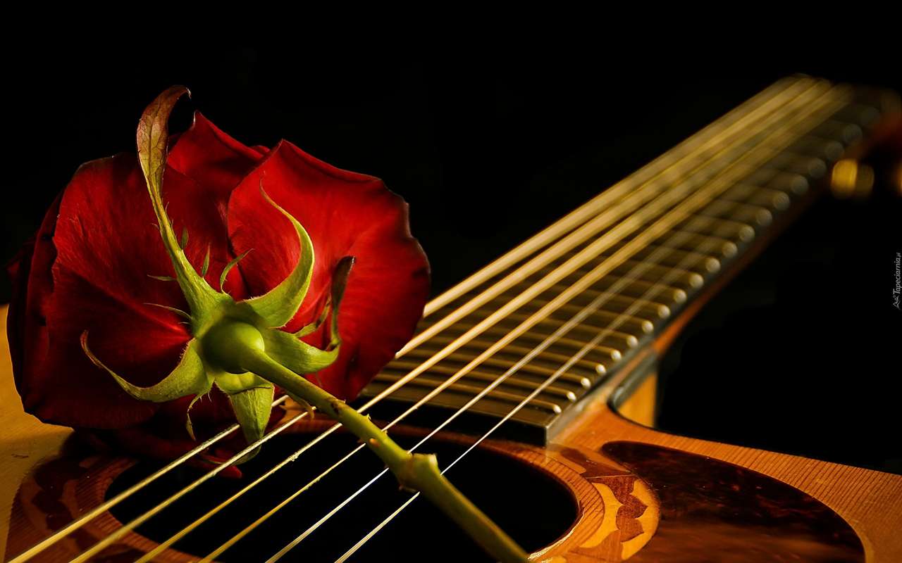 Czerwona roża na gitarze puzzle online