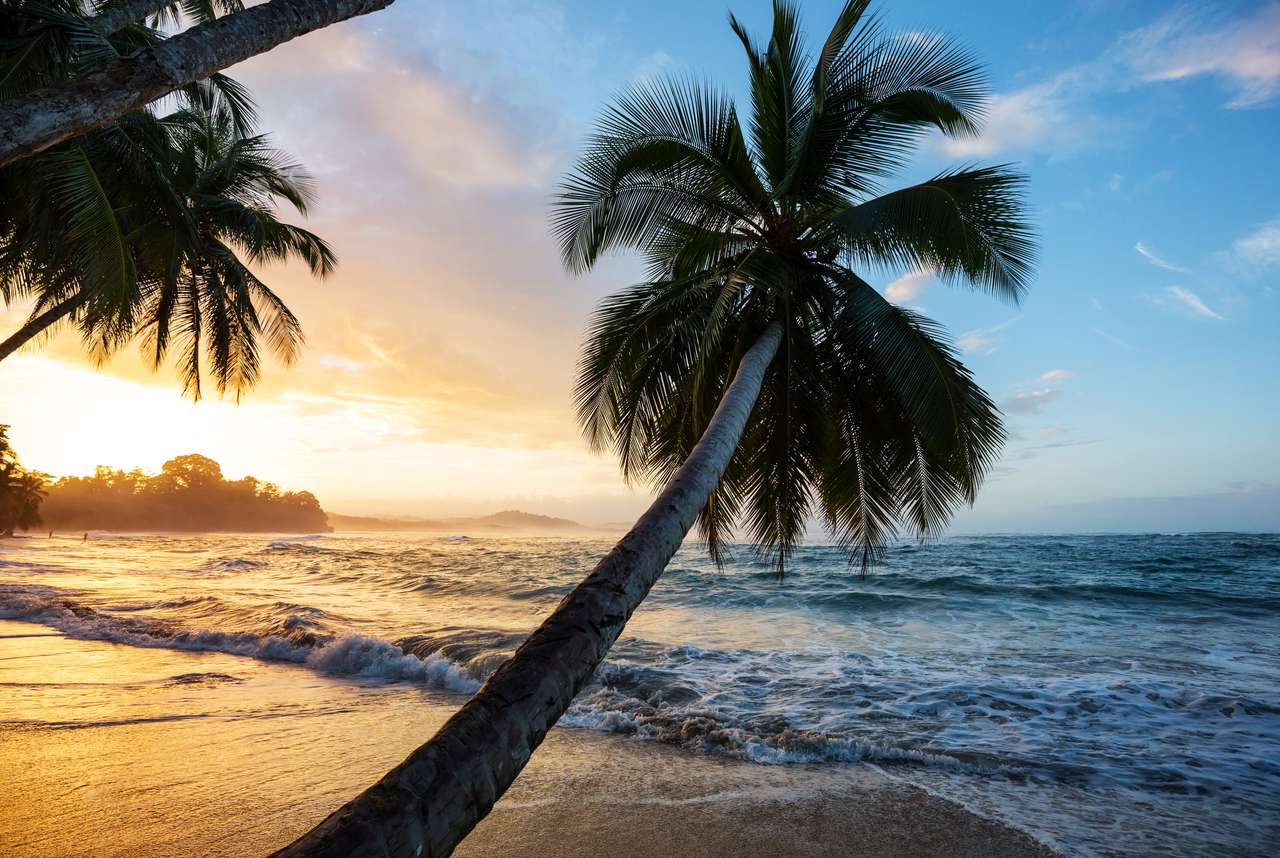 Tropikalne Wybrzeże Oceanu Spokojnego w Kostaryce puzzle online