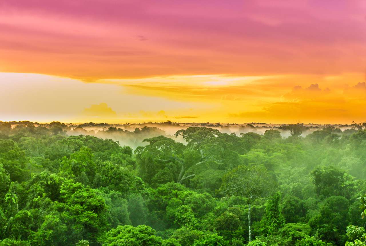 Purpurowy zachód słońca nad lasami deszczowymi w Brazylii puzzle online
