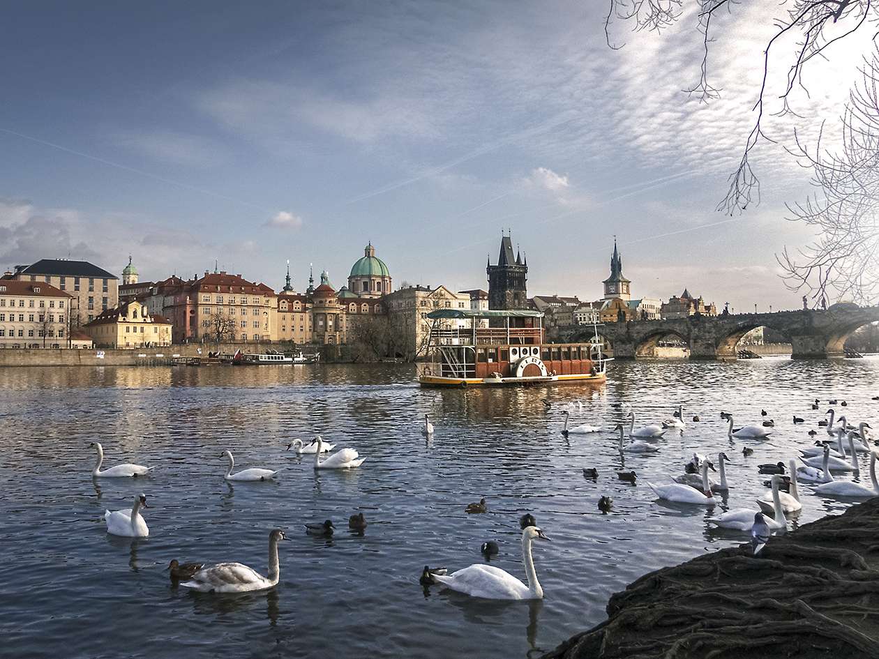 Rzeka Vltava w Pradze puzzle online