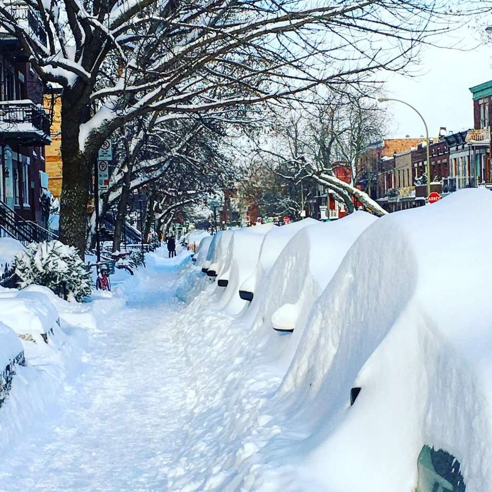śnieg w Montrealu puzzle online