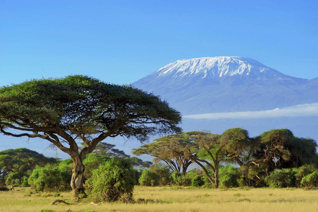Śnieg na szczycie góry Kilimanjaro w Amboseli puzzle online