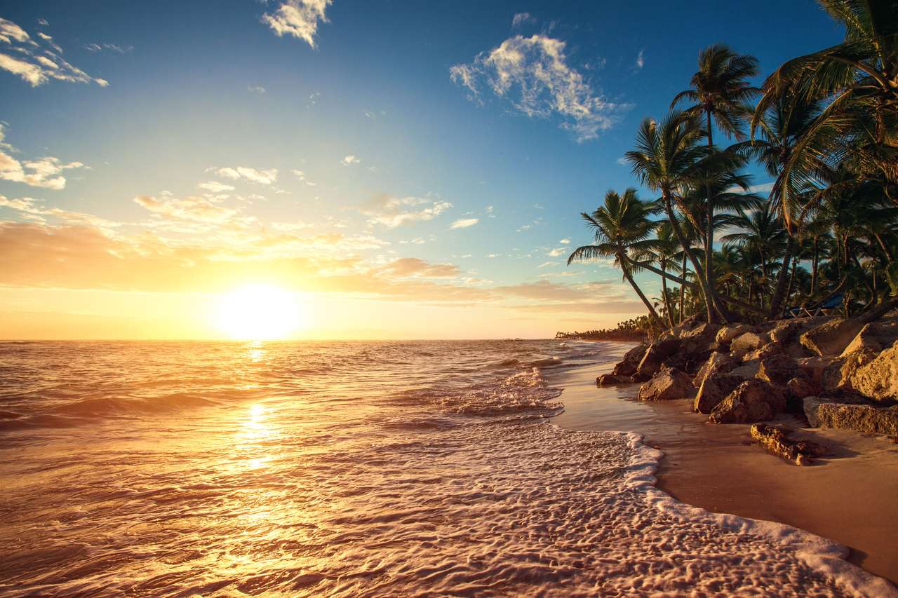Palmbomen op het tropische strand, Sunrise Shot puzzel