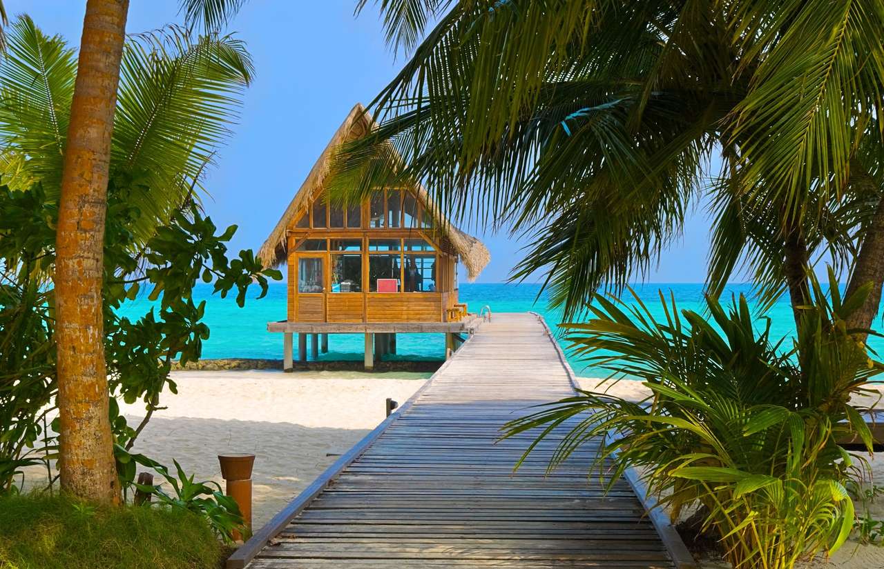Klub nurkowy na tropikalnej wyspie - Malediwy puzzle online