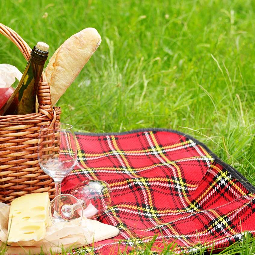 Piknik na trawie puzzle online